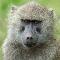 Namranan