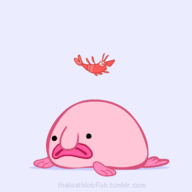 Endebros