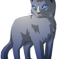 The Ruby kitty