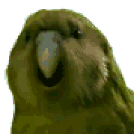 yolorag