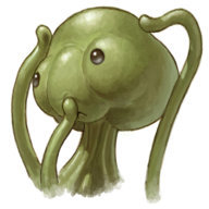 Mr. Radical