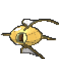 God Alphikarpic