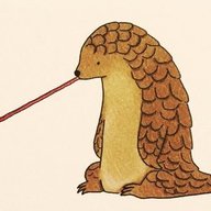 Mirius