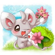 Grace Of Shaymin