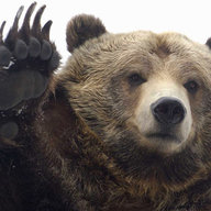GrizzlySSBPM