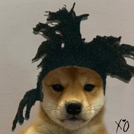 Kdn