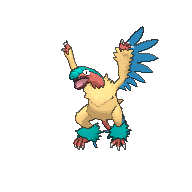 Kojote
