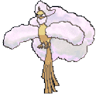 KidSeraph