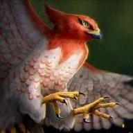 BudgieGryphon