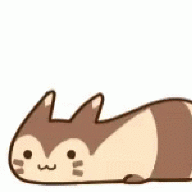 SillyFerret