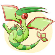 FlygonsBFlygons
