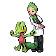 treecko