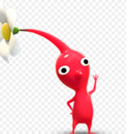 TerrificMarrow2