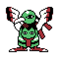 lacerta