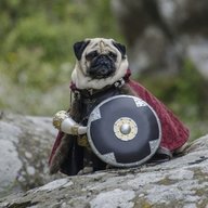 Pugomir