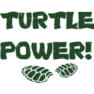 05Turtle