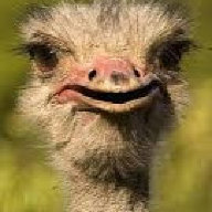 Fredgert