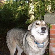 Slimmewolf