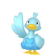 DUCKY1