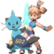Mr502