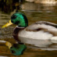 patoludz