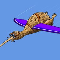 AFlyingKiwi