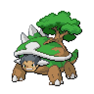 bro torterra