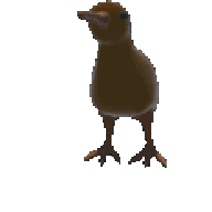 MaikPlk3