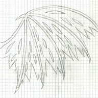 kjetilx