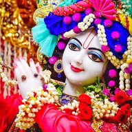 Mayank213