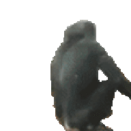 Xungo