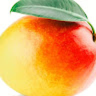 yngmoe