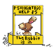 rabbit13