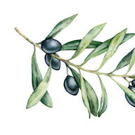 swordfishfood
