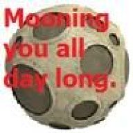 HowlingSnail