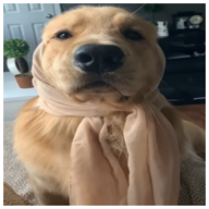Fluffyboy