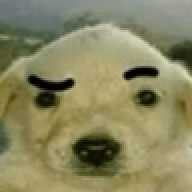 XxBaskimxX