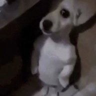 Darrk