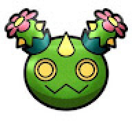 Intercactus
