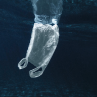 A_Plastic_Bag