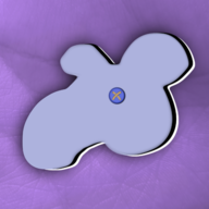 TipTopTapirs
