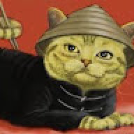 CatDashVN
