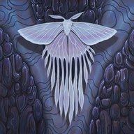 mothstalgia