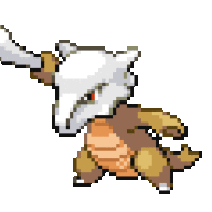 Camerowak