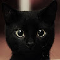 Kittenmon6824