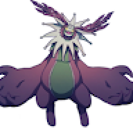 Kraken8888