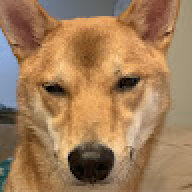 Nickmaster26