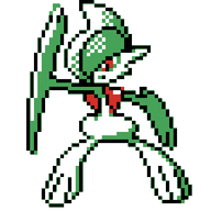 Trainer Willie