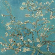 lubloom