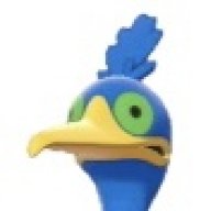 FYBIRR